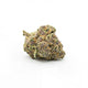 Bud Bunny