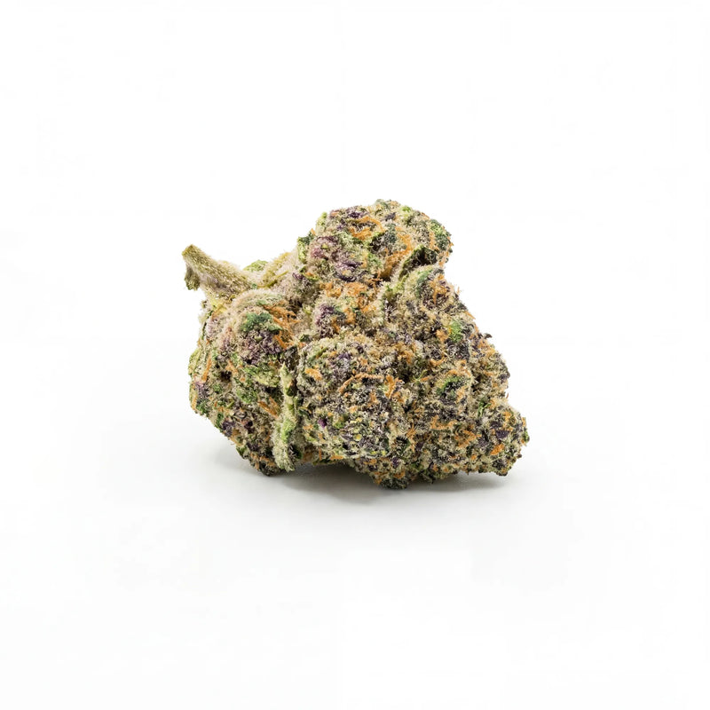 Bud Bunny