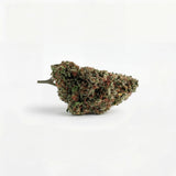 Critical Berry USA