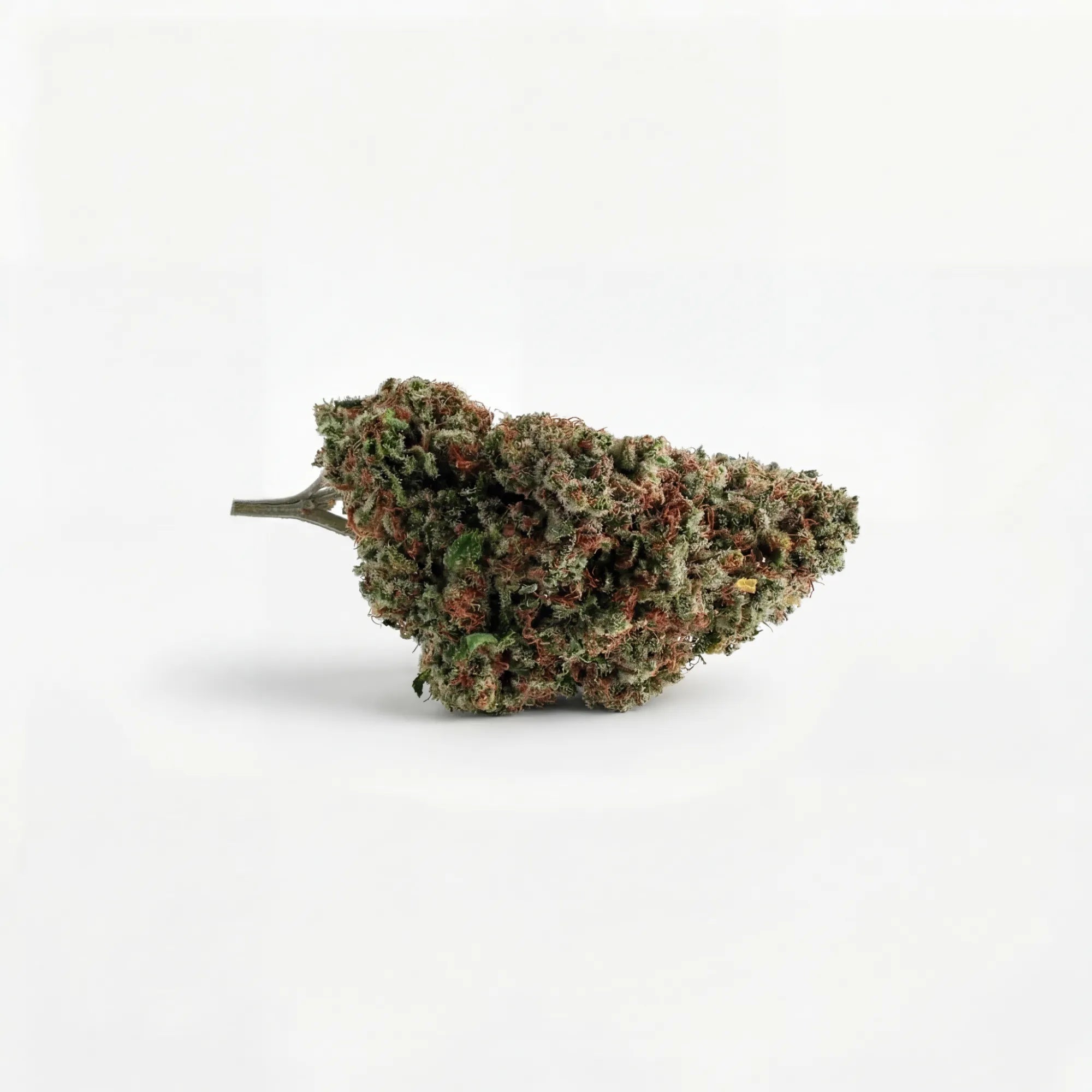 Critical Berry USA