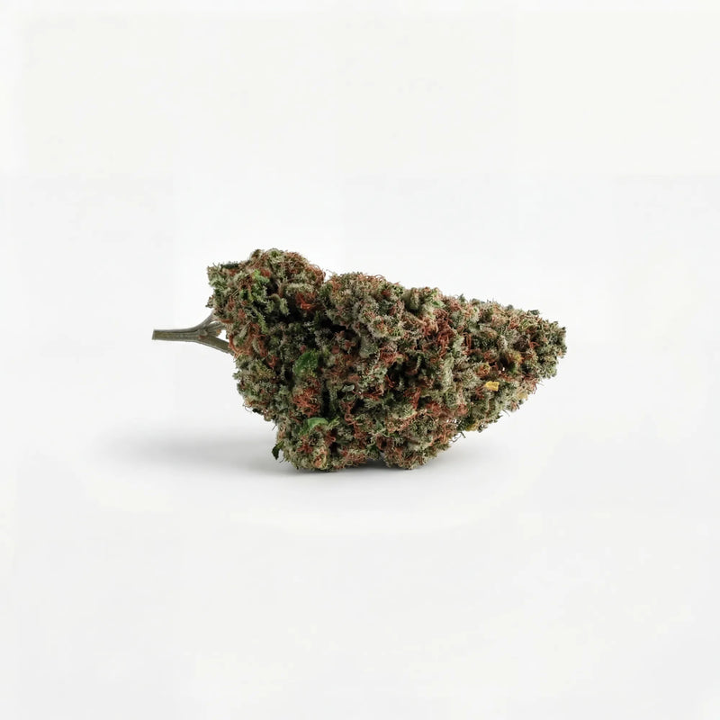 Critical Berry USA