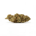 Lemon Haze
