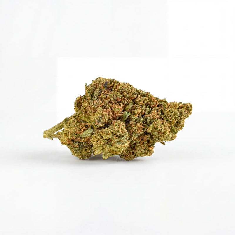 Jamaïcan Strawberry