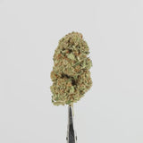 Lemon Haze