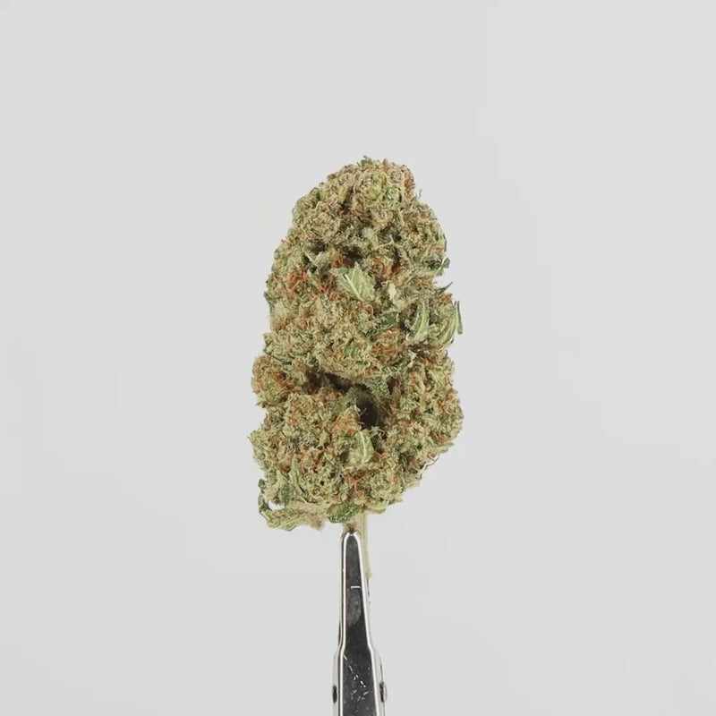 Lemon Haze